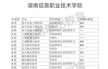 2022湖南信息职业技术学院分数线最低是多少