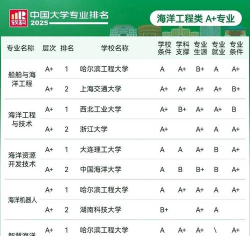 2024有造船背景的大学排名