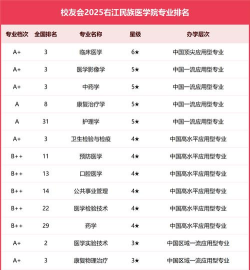 右江民族医学院排名